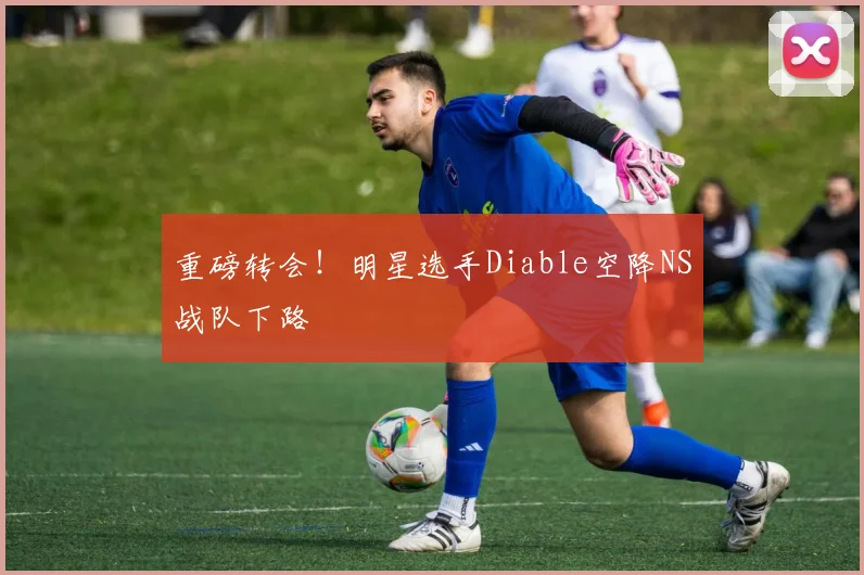 重磅转会！明星选手Diable空降NS战队下路